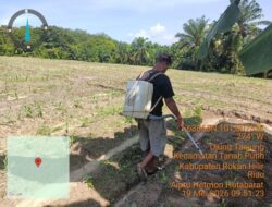 Cek Progres Jagung, Polsek Tanah Putih Tegaskan Komitmen Dukung Ketahanan Pangan