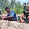 Satgas TMMD Ke-128: Kodim 1710/Mimika Menanam Jagung Bersama Warga Keakwa