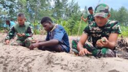 Satgas TMMD Ke-128: Kodim 1710/Mimika Menanam Jagung Bersama Warga Keakwa