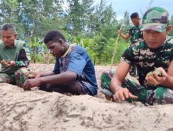 Satgas TMMD Ke-128: Kodim 1710/Mimika Menanam Jagung Bersama Warga Keakwa